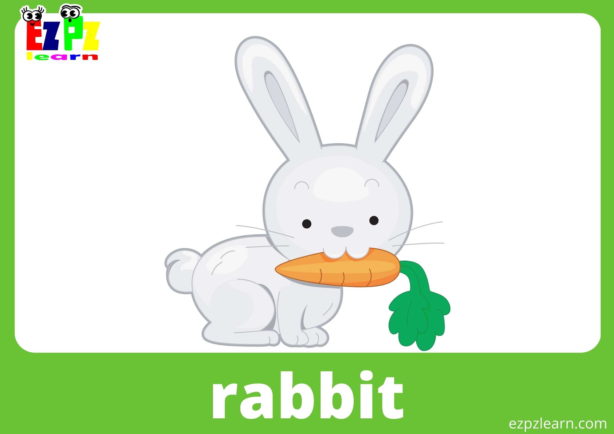 Rabbit